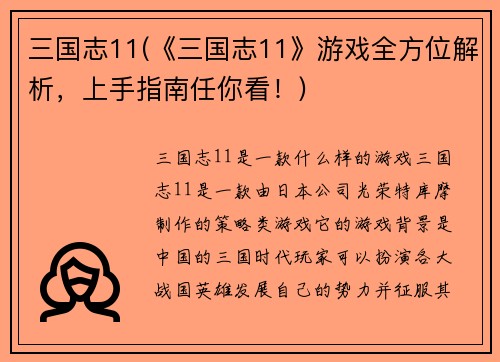 三国志11(《三国志11》游戏全方位解析，上手指南任你看！)